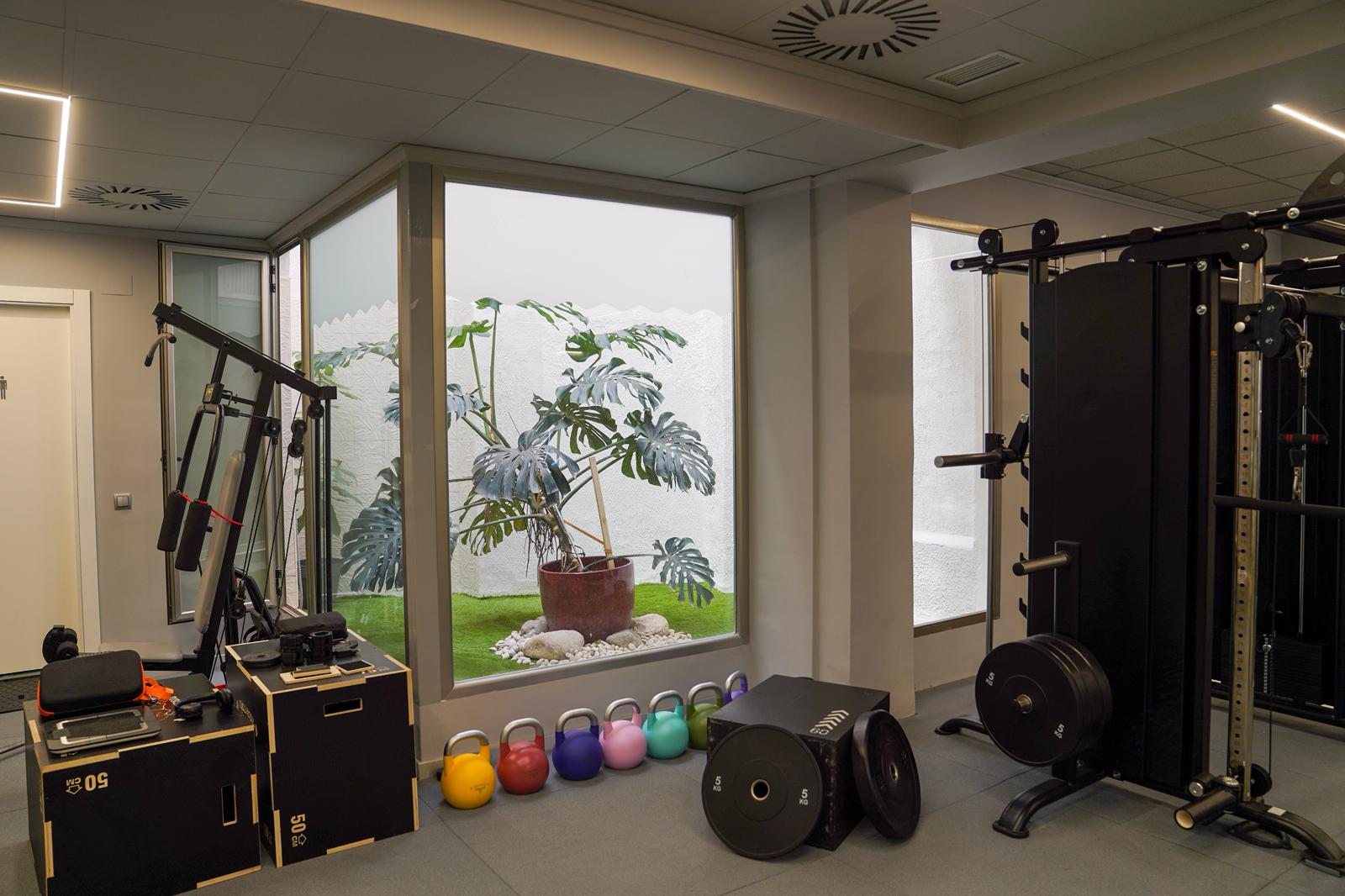 Sala de gimnasio y ejercicio terapéutico